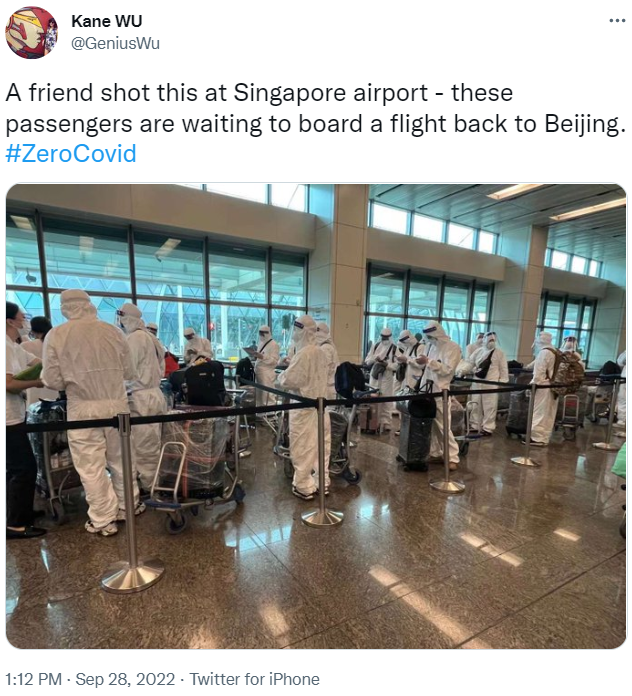 Image showing people queueing for a flight back to China in full hazmat gear.